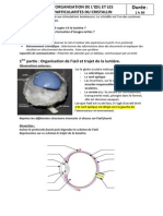 TP1 Dissection Oeil de Boeuf Cristallin