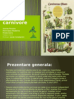 Plante Carnivore Clasa A 10-A Biologie