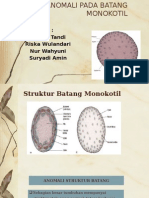 Struktur Primer Batang Monokotil