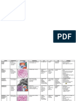 Renal Path Chart