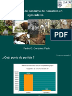 Estimacion Del Consumo Voluntario en Rumiantes en Pastoreo de Agostadero