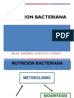 3. NUTRICIONBACTERIANA