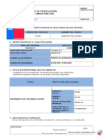 ANEXO 2 Vialidad Curriculum Vitae