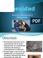 Obesidad