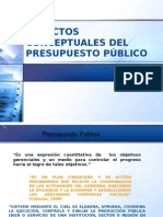 Presupuesto Publico