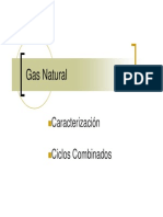 Gas Natural Procesamiento Prueba