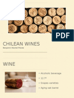 Chilean Wines: Benjamin Blanlot Mücke