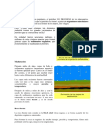 Origen Del Petroleo