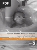 Atencao Saude Recem Nascido v3