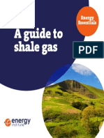 Energy Essentials Shale Gas Guide