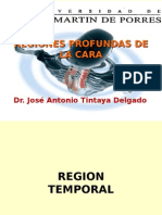 169166813 Reg Profunda de La Cara (1)