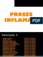 Proses Inflamasi 