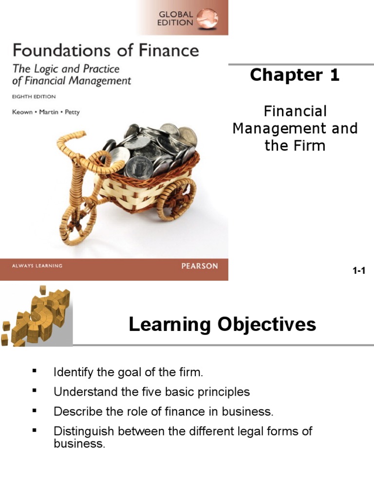 Foundations of Finance PDF Limited Liability Company Partnership