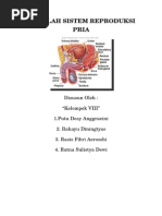 Download Makalah Sistem Reproduksi Pria by Ratna Sulistya Dewi SN283207990 doc pdf