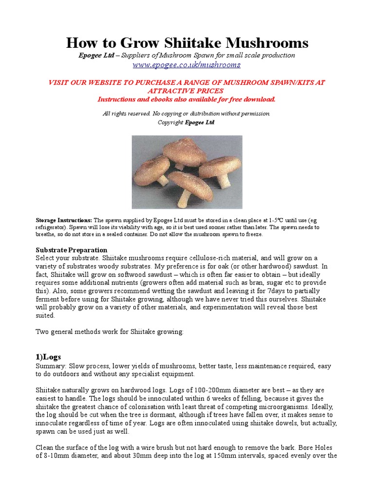 Shiitake Mushroom Growing Instructions Mushroom Sterilization