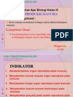 Sistem Reproduksi PD Manusia