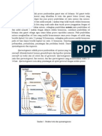 Spermatogenesis Dan Oogenesis 