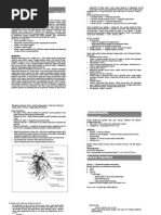 Download Payudara tumor by liaputranti SN283221077 doc pdf
