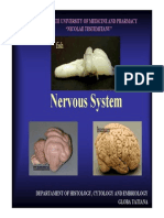 State University of Medicine and Pharmacy Nervous System