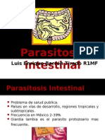 Parasitosis Intestinal