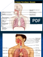 Anatomi Sal - Napas Kuliah 09