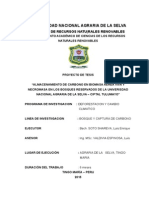 Universidad Nacional Agraria de La Selva-Tulumayo 111 Revision Cambiada