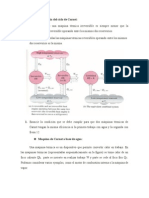 Principios de La Eficiencia Del Ciclo de Carnot