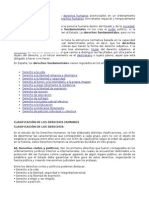 Derechos Fundamentales1