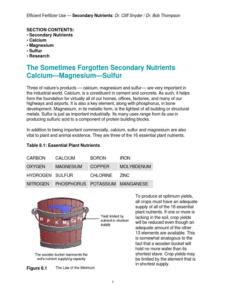 Secondary Nutrients Plant Nutrition Fertilizer