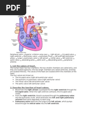 heart pathophysiology