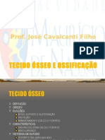 Aula nº 6 - Tecido Ósseo + Ossificação.ppt