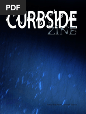 Curb Side Zine
