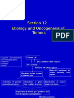 6 5Etiology&Oncogenesis