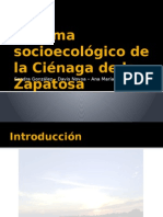 Sistema Socioecológico de La Ciénaga de La Zapatosa