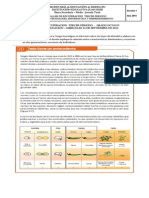 Recuperacion Octavo PDF