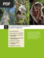 Nutricion Animales