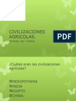 Civilizaciones Agricolas