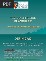 Aula Nº 3 Tecido Epitelial Glandular Com Pranchas