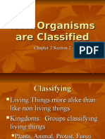 How Organisms Are Classified