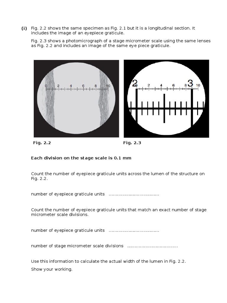 biology experiment 2