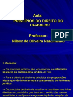 Princípios Do Direito Do Trabalho