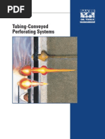 Perforating Systems and Techniques Overview | PDF
