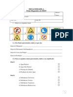 000761-1284936608-ficha-diagnostica-hsst