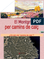 Camins Calç