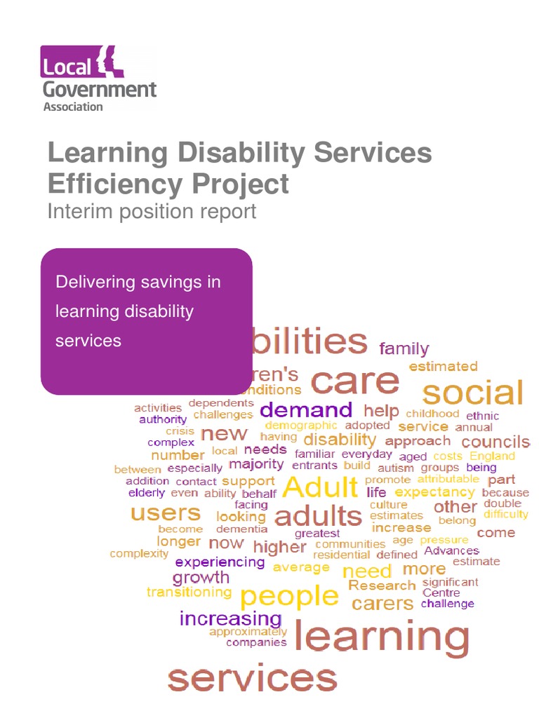 Learning Disability Services Efficiency Project Interim Position Update ...