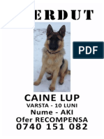 caine-lup