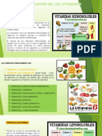 Clasificacion Vitaminas