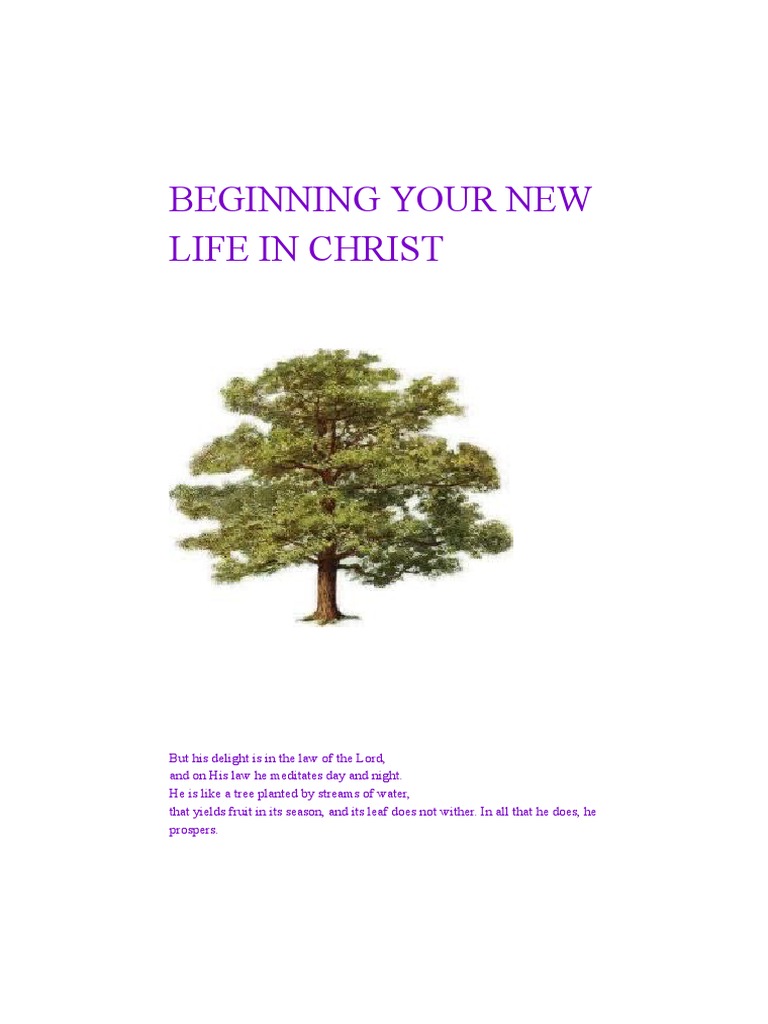 New Life in Christ: A Guide to Salvation | PDF | Confession (Religion ...