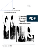 12 (Probe) : Comportament Verbal - Vorbirea