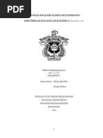 Download Laporan Praktikum 2 e Coli by Trini Purnamasari SN283330199 doc pdf